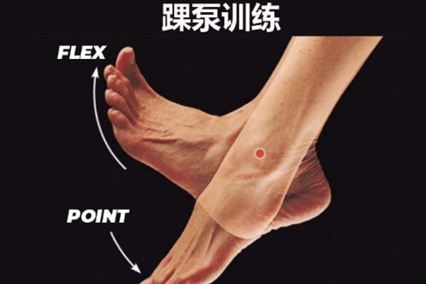 一文读懂半月板损伤:损伤机制,症状,术后恢复等